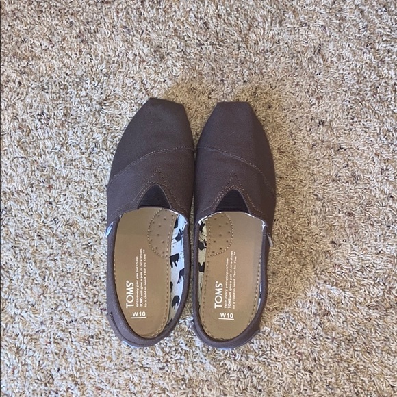 Toms Shoes - Toms Slip on Shoes